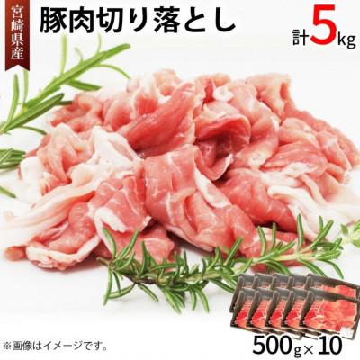ふるさと納税 美郷町 宮崎県産 豚肉切り落し 500g×10 計5kg