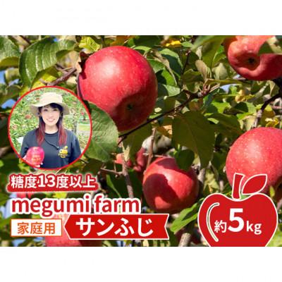 ふるさと納税 鰺ヶ沢町 りんご [ 数量限定 ] 糖度13度以上 家庭用 サンふじ 約 5kg