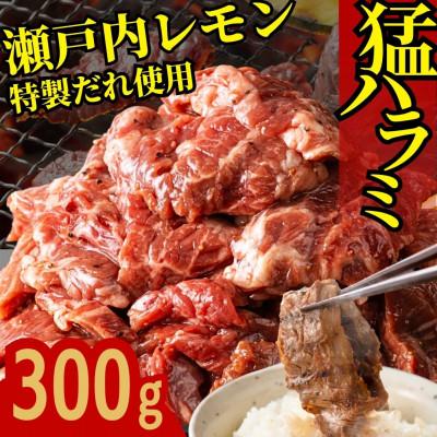ふるさと納税 竹原市 牛ハラミ 特製瀬戸内レモン塩だれ 300g (300g×1) 尾野精肉店の牛ハラミ 焼肉 訳あり