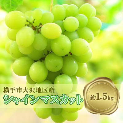ふるさと納税 横手市 濃甘な完熟葡萄 横手市産大沢地区産のシャインマスカット 約1.5kg