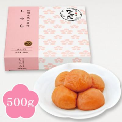 ふるさと納税 上富田町 [紀州産南高梅]しらら 500g