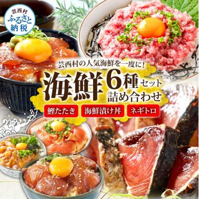 ふるさと納税 芸西村 カツオたたき・漬け丼・ネギトロ 海鮮セット[kyf170]