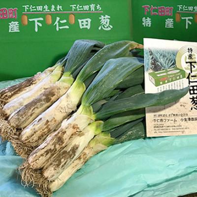 ふるさと納税 下仁田町 厳冬期の下仁田ねぎ 食べ比べセット(M2本・L2本・LL3本)