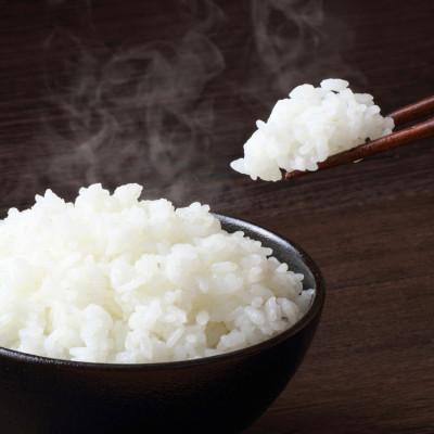 ふるさと納税 登米市 宮城県登米市産 ひとめぼれ 白米 30kg【令和7年産】