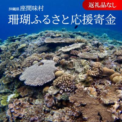 ふるさと納税 座間味村 [返礼品なし]沖縄県座間味村 珊瑚ふるさと応援寄金 5,000円