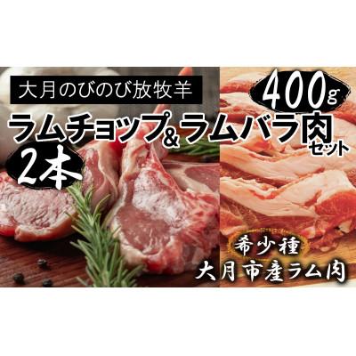 ふるさと納税 大月市 大月のびのび放牧羊[ラムチョップ&amp;ラムバラ肉セット]ラムチョップ2本(約200g)・バラ