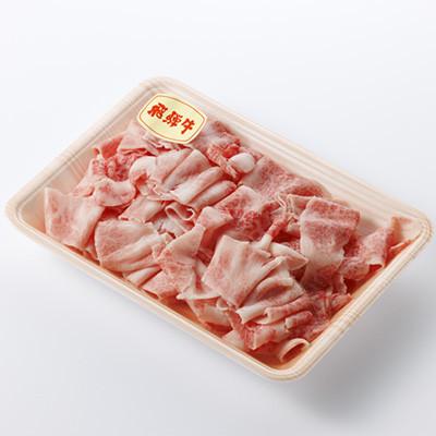 ふるさと納税 養老町 [飛騨牛]切り落とし 250g入り