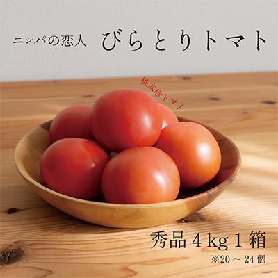 ふるさと納税 平取町 [令和8年6月以降発送]びらとりトマト(桃太郎トマト)栄養素が豊富な1箱!約4kg(20 〜24個)