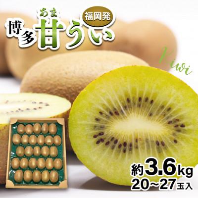 ふるさと納税 春日市 [2025年11月上旬〜11月下旬発送予定]博多甘うぃ(キウイフルーツ) 約3.6kg(春日市)