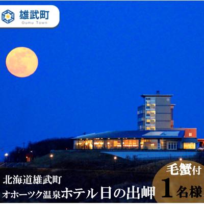 ふるさと納税 雄武町 [オホーツク温泉ホテル日の出岬]ご宿泊券 毛蟹付プラン1名様宿泊券(1泊2食付)[H0610602]