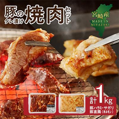ふるさと納税 延岡市 豚のタレ漬け焼肉セット 計1kg(延岡市)