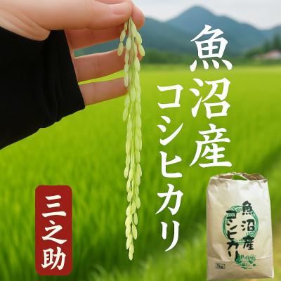 ふるさと納税 魚沼市 令和7年産 三之助 魚沼産コシヒカリ(精米) 5kg