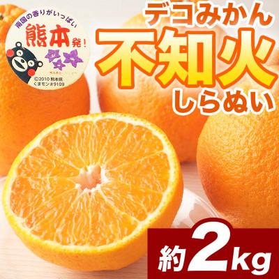ふるさと納税 宇城市 不知火 デコみかん (デコポンと同品種)5〜9玉 約2kg(宇城市)