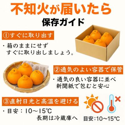 ふるさと納税 水俣市 不知火 デコみかん(デコポンと同品種)6〜15玉 約3kg(水俣市)_3