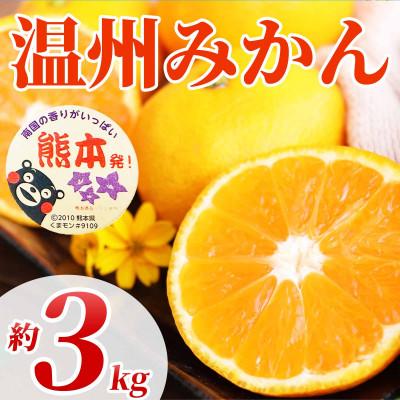 ふるさと納税 玉名市 温州みかん 約3kg 2S〜2L(玉名市)