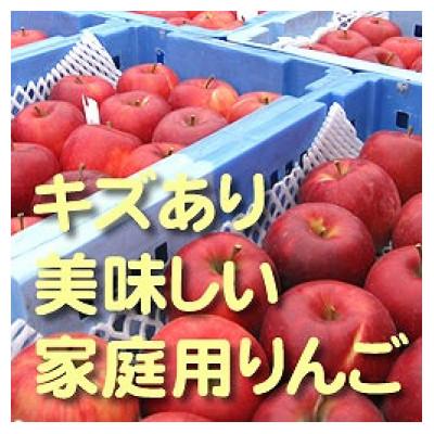 ふるさと納税 中川村 富永農園の秋のりんご[訳あり]約10kg 10月〜11月頃発送
