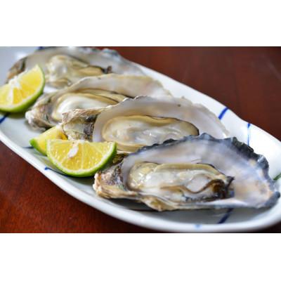 ふるさと納税 森町 北海道森町 噴火湾産 海の恵みカキのガンガン焼き 殻付きカキ(加熱用) 1.5kg〜2kg