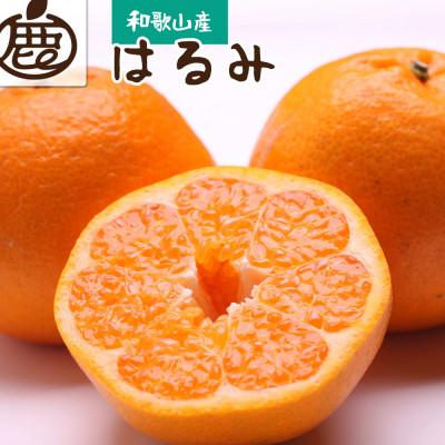ふるさと納税 有田川町 厳選 はるみ2.5kg+250g(傷み補償分)[不知火の姉妹品種・新食感みかん][光センサー選別]