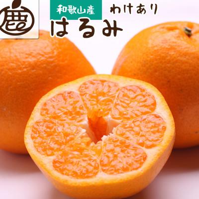 ふるさと納税 有田川町 家庭用 はるみ2.5kg+250g(傷み補償分)[不知火の姉妹品種][光センサー選別][訳あり]