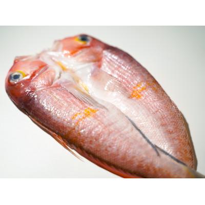 ふるさと納税 大田市 旬獲れの甘鯛使用! 大ぶり甘鯛一夜干 300g×2尾