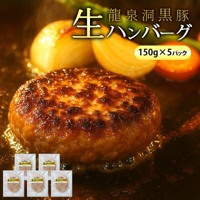 ふるさと納税 紫波町 龍泉洞黒豚 生粋 生ハンバーグ 750g(150g×5個) 黒豚 国産 冷凍