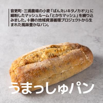ふるさと納税 帯広市 十勝産小麦100%使用 麦音こだわりパンセット |  | 03