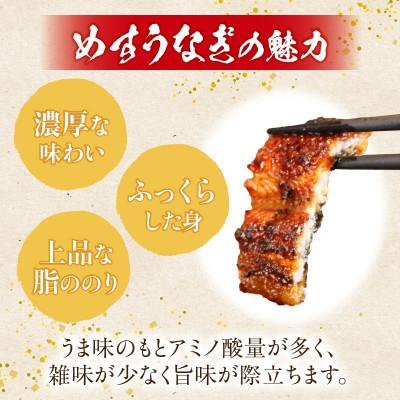 ふるさと納税 西尾市 愛知県三河一色産  めすうなぎ「艶鰻」うなぎ蒲焼き (計2尾400g以上)・U048 |  | 02