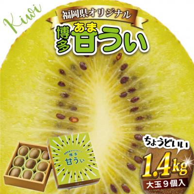 ふるさと納税 春日市 [2025年11月上旬〜下旬発送]キウイフルーツ「博多甘うぃ」化粧箱 大玉9玉約1.4kg(春日市)