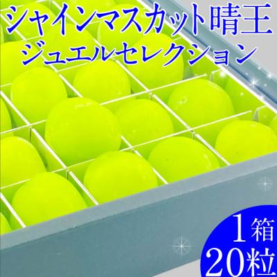 ふるさと納税 浅口市 2026年 9月〜10月発送 先行予約 シャインマスカット晴王 ジュエルセレクション20粒 岡山県産