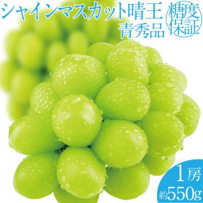ふるさと納税 浅口市 2026年 9月〜10月発送 先行予約 シャインマスカット 晴王 1房 約550g 岡山県産