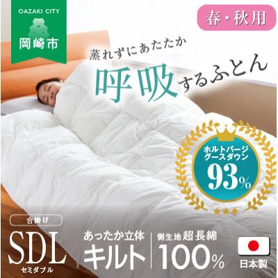 ふるさと納税 岡崎市 [春・秋用]究極に軽く、蒸れない羽毛ふとん (セミダブルロングサイズ)170×210cm(HVG)