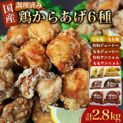 ふるさと納税 球磨村 [幸せのからあげ]プラチナセット 調理済 2.8kg(球磨村)