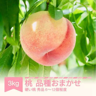 ふるさと納税 村山市 令和7年産(2025年産)白桃 硬め 品種おまかせ 秀品 3kg