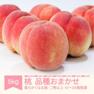 ふるさと納税 村山市 令和7年産(2025年産)白桃 品種おまかせ ◯秀品以上 5kg