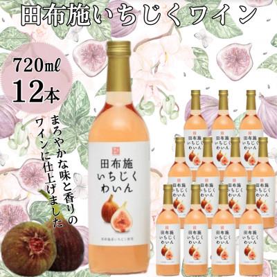 ふるさと納税 田布施町 [2024年産]いちじくわいん 12本