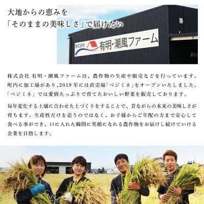 ふるさと納税 上峰町 令和7年産さがびより　10kg |  | 03