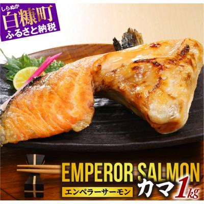 ふるさと納税 白糠町 エンペラーサーモンのカマ[1kg]