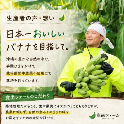 ハワイのセレブ御用達アップルバナナ10K沖縄産農薬：栽培期間中不使用 ふるさと納税 西原町 【栽培期間中農薬不使用】吊るして追熟!飾れる