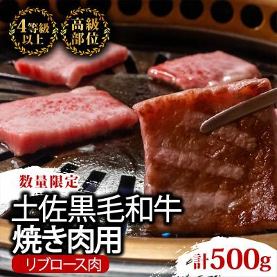 ふるさと納税 須崎市 土佐 黒毛 和牛 焼肉用 500g | 特撰 リブロース 最上位等級 A4 A5