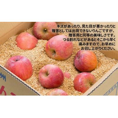 ふるさと納税 中川村 富永農園の秋のご家庭用りんご[サンふじ]約10kg(自家用)