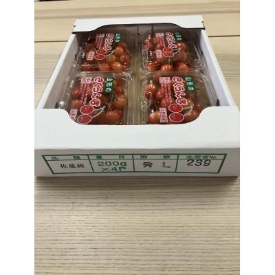 ふるさと納税 中山町 令和9年産先行受付　山形県中山町産さくらんぼ<佐藤錦>秀品　約800g(約200g×4P) |  | 03