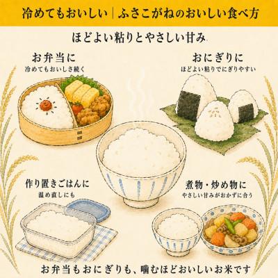 ふるさと納税 神崎町 【令和8年産 新米 出荷開始】ふさこがね 10kg(5kg×2袋)千葉県神崎町産 白米 |  | 02