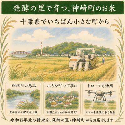 ふるさと納税 神崎町 【令和8年産 新米 出荷開始】ふさこがね 10kg(5kg×2袋)千葉県神崎町産 白米 |  | 03