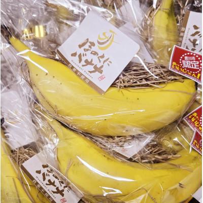 ふるさと納税 豊川市 ほのくにバナナ 170g以上(LL)8本入り