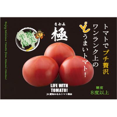 ふるさと納税 田原市 丸トマト(極) 1kg×2