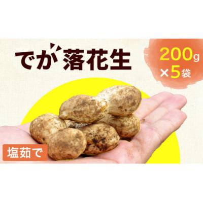 ふるさと納税 高浜市 塩茹で・でか落花生 (200g×5袋)