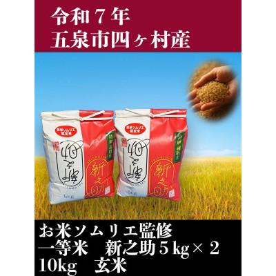 ふるさと納税 五泉市 [新米先行受付]R7年産新潟県五泉市産 新之助 10kg(5kg×2袋) 玄米