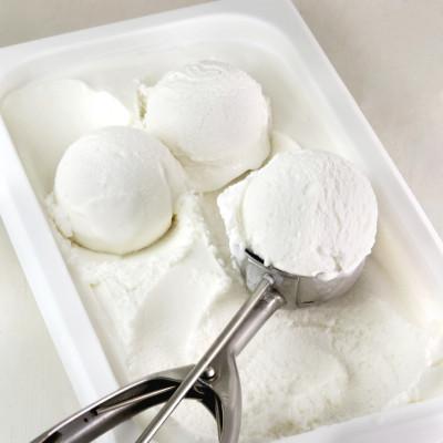 ふるさと納税 豊中市 [卵・香料不使用]濃厚ココナッツジェラート業務用2L入りとローストココナッツ100gのセット
