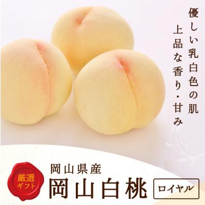 ふるさと納税 倉敷市 [2026年発送]岡山県産 白桃 6玉 (1.5kg以上) 等級:ロイヤル 化粧箱入り