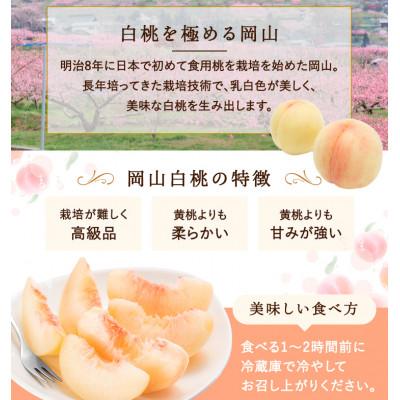 ふるさと納税 倉敷市 【2027年発送】岡山県産 白桃 6玉 (1.5kg以上